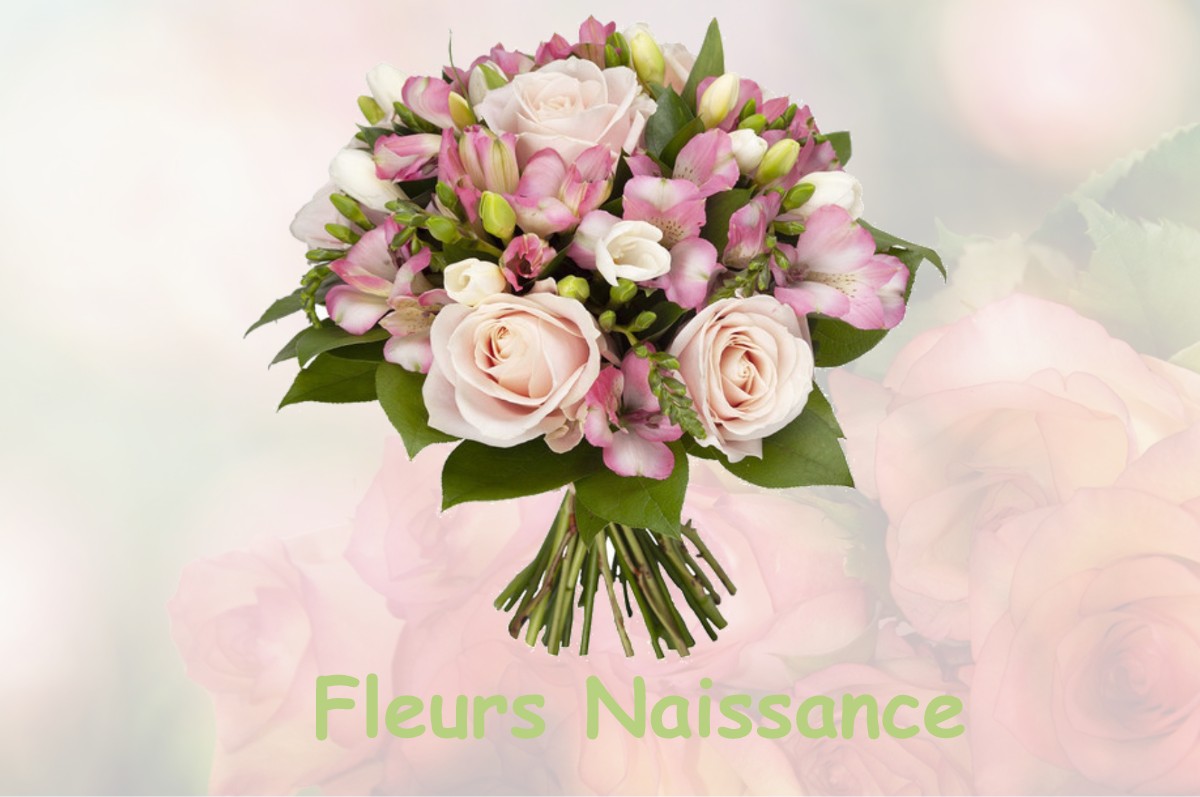 fleurs naissance HERBEYS