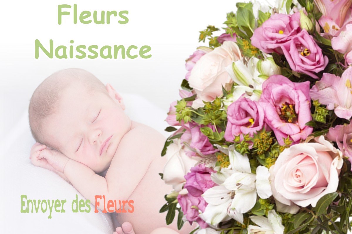 lIVRAISON FLEURS NAISSANCE à HERBEYS